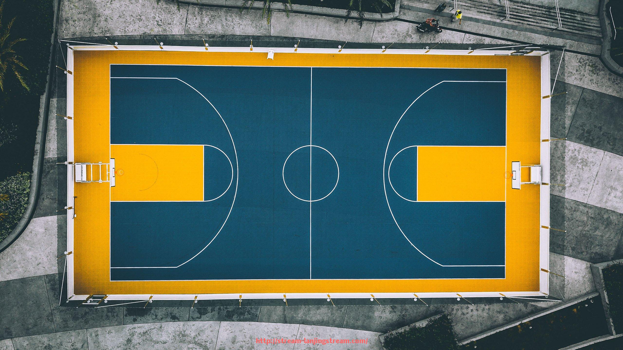 蓝鲸体育直播-2008年NBA赛季火箭队完整赛程与赛绩回顾